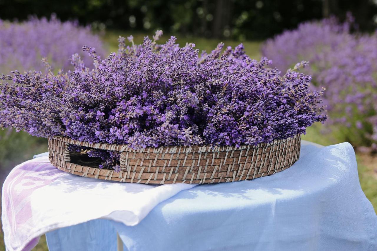 Lavender Village Kiemeliai Buitenkant foto