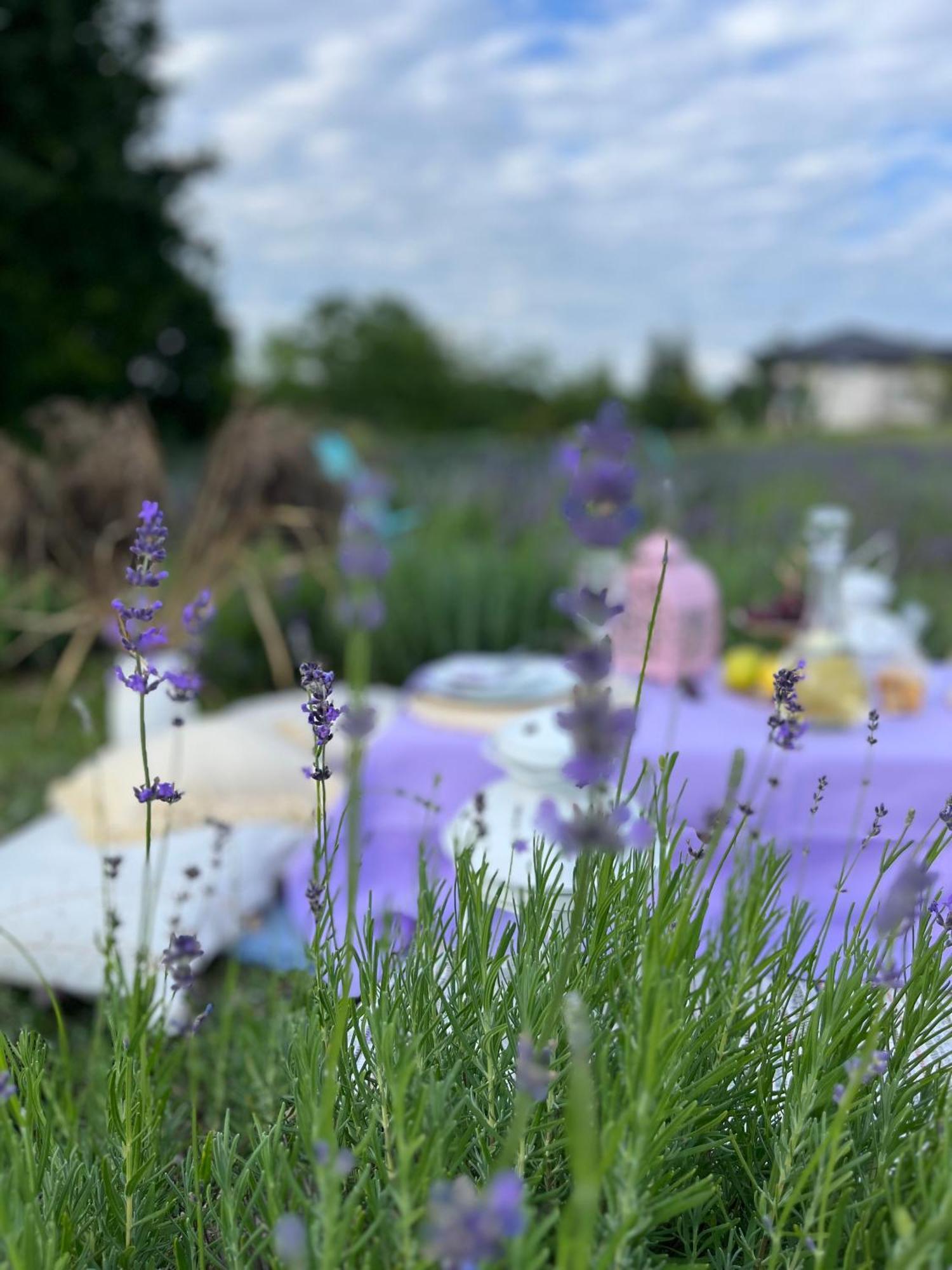 Lavender Village Kiemeliai Buitenkant foto