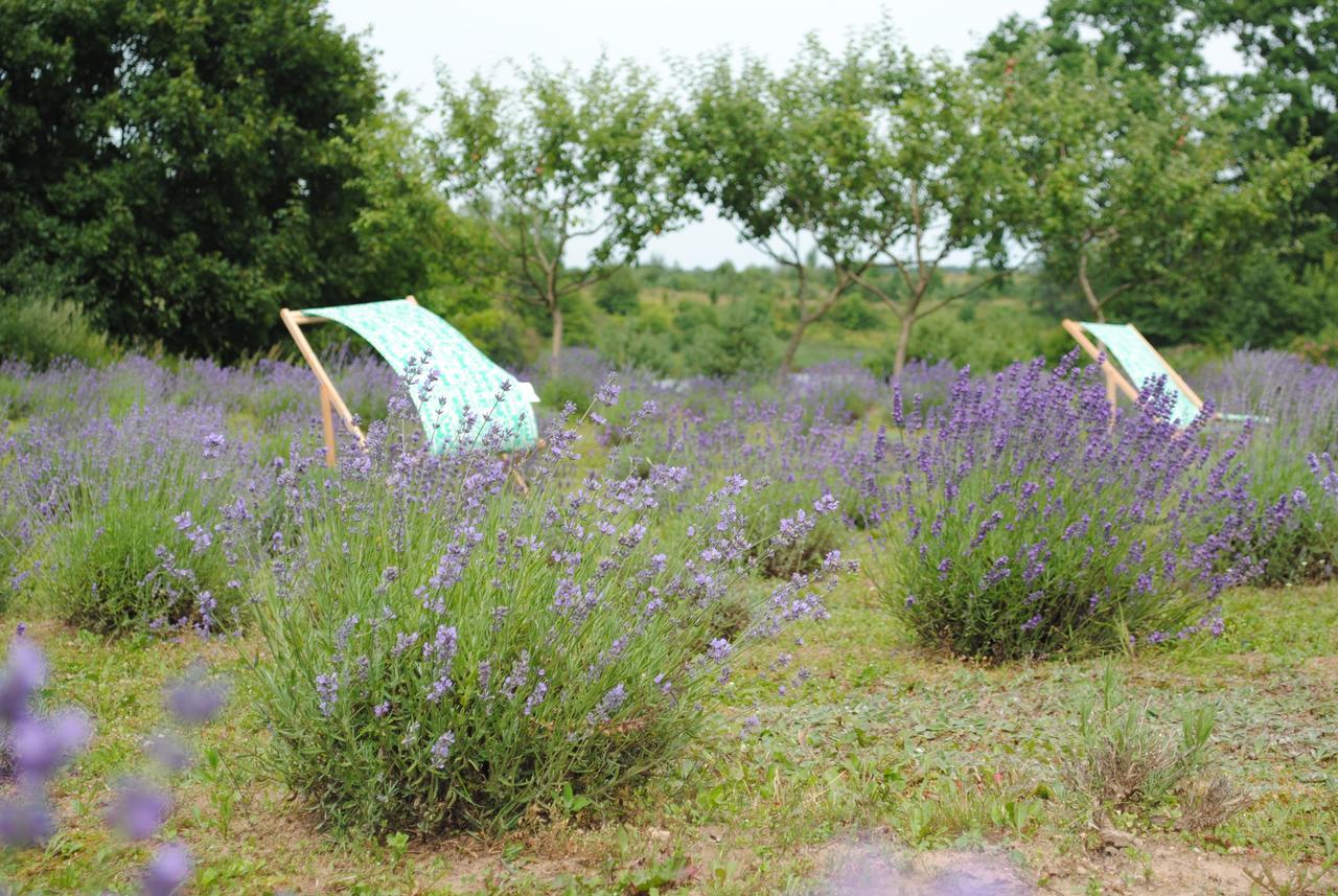 Lavender Village Kiemeliai Buitenkant foto