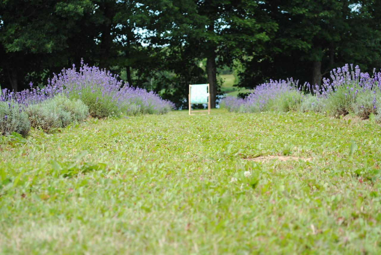 Lavender Village Kiemeliai Buitenkant foto
