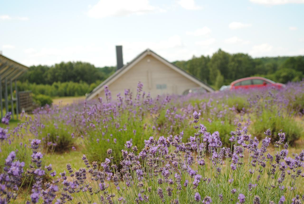 Lavender Village Kiemeliai Buitenkant foto